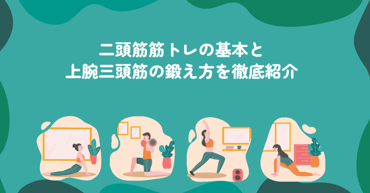 二頭筋筋トレの基本と上腕三頭筋の鍛え方を徹底紹介